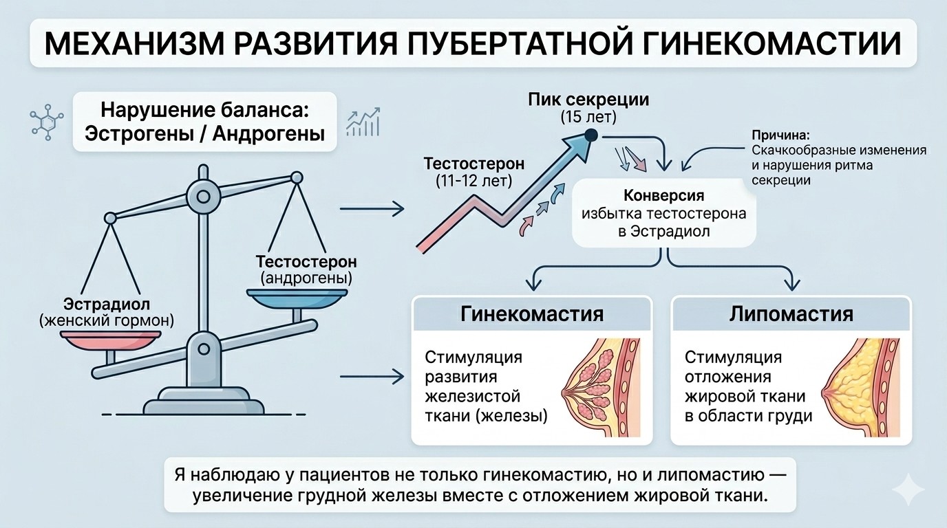 Тестостерон и эстрадиол
