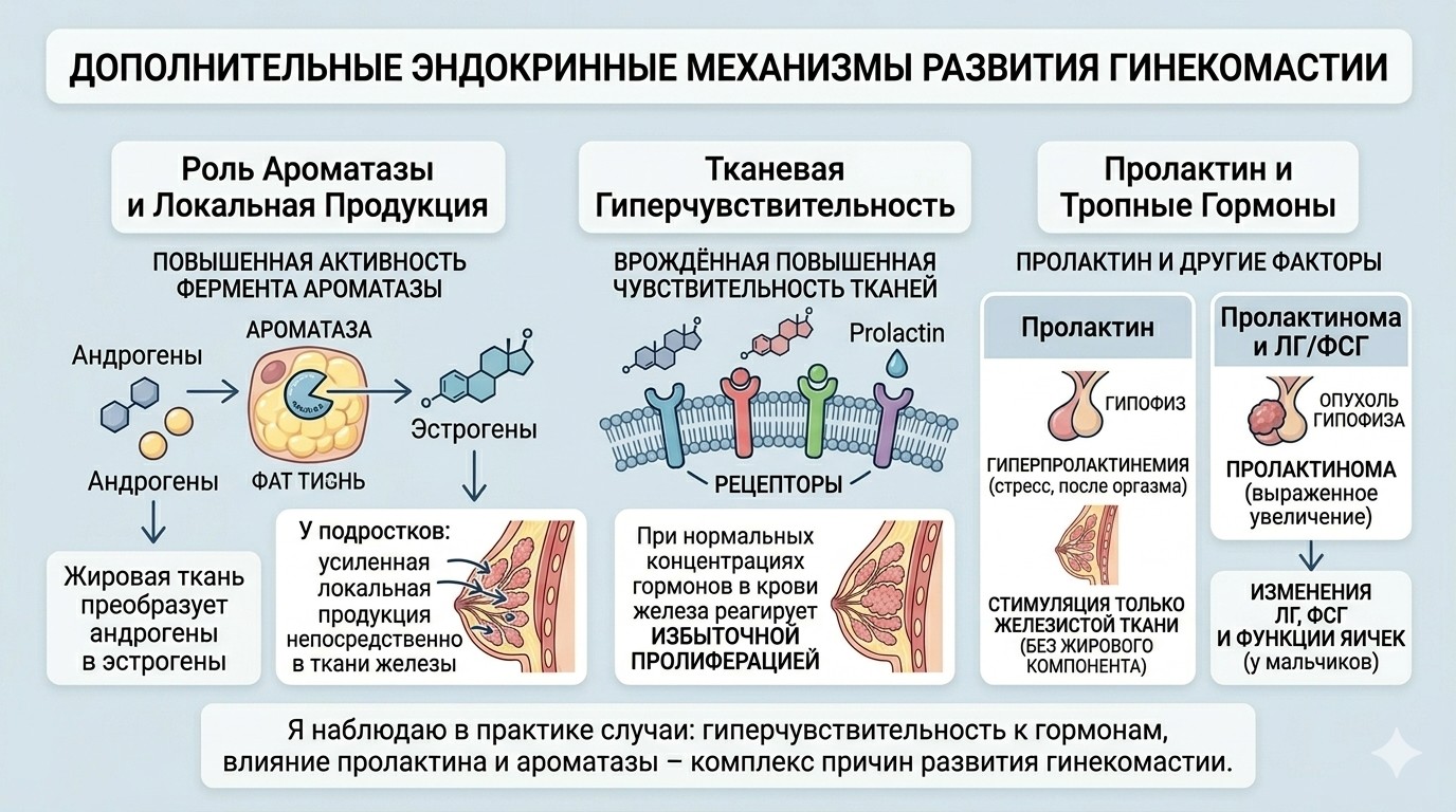 Гинекомастия и другие гормональные агенты